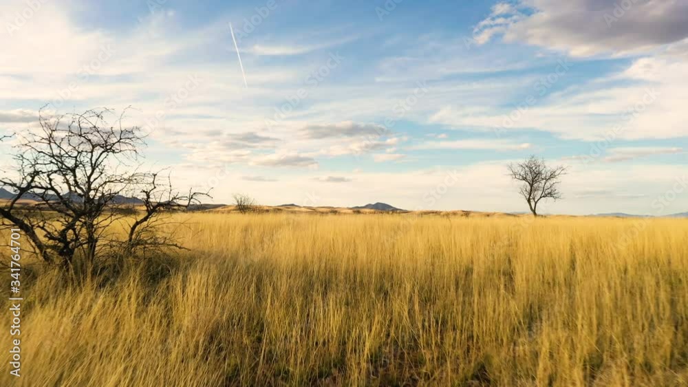 The open, golden grass fields of Sonoita, Arizona - low aerial The open, golden grass fields of Sonoita, Arizona - low aerial