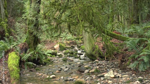 4K footage of Coal Creek river in Seattle Washington
