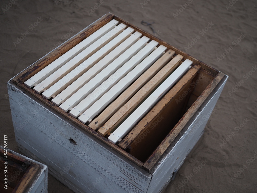 Wooden frames new to honey. Beekeeping, a tool for bees. Frames lie on the green grass, preparation for the work of the beekeeper. No honey. Wooden frames new to honey. Beekeeping, a tool for bees. Frames lie on the green grass, preparation for the work of the beekeeper. No honey.
