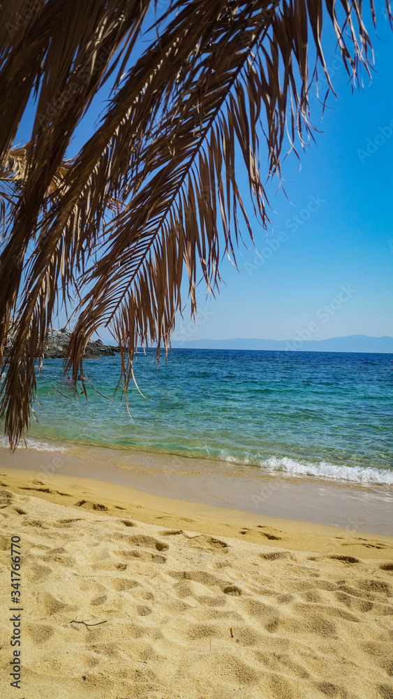 Strand mit Palmenwedel