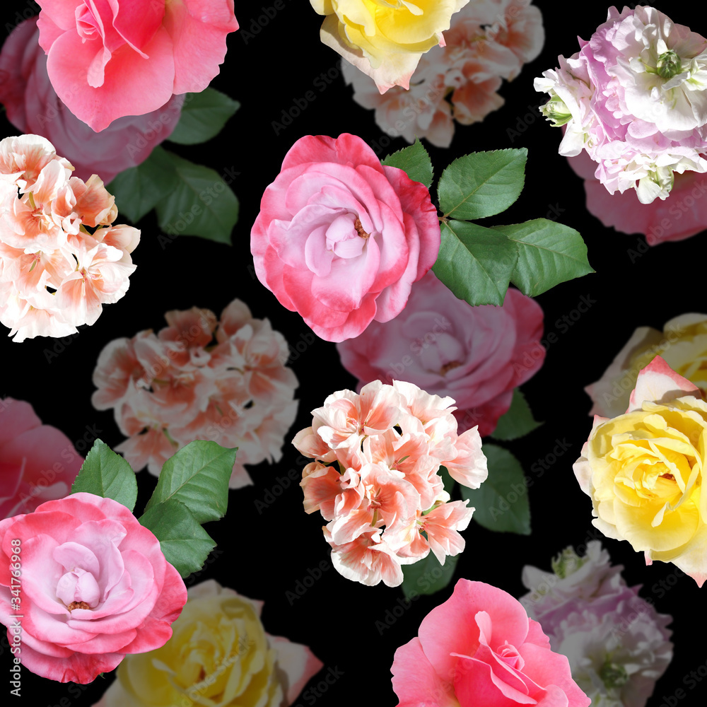 Obraz premium Beautiful floral background of roses and pelargoniums. Isolated