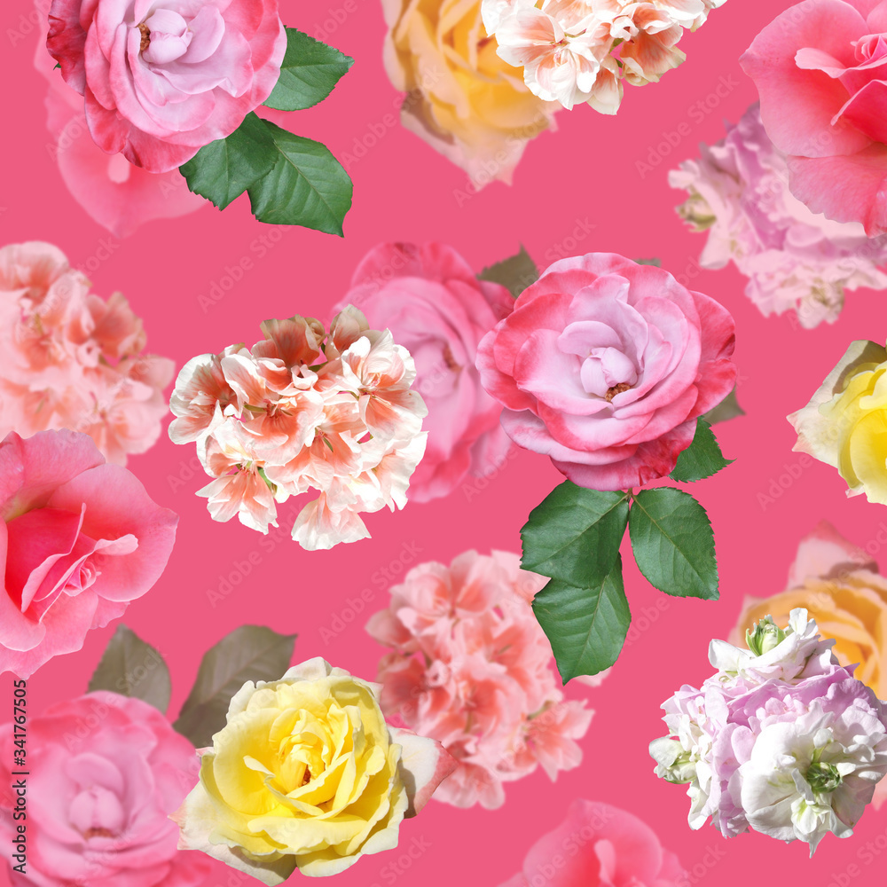 Beautiful floral background of roses and pelargoniums. Isolated Beautiful floral background of roses and pelargoniums. Isolated