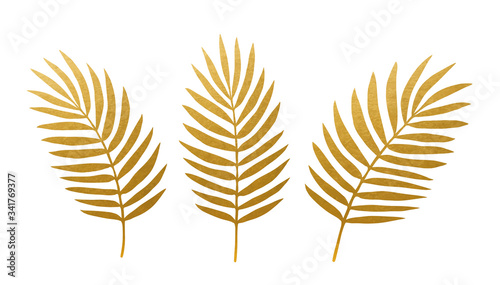 Beautiful Golden Palm Leaves - Vector Silhouette