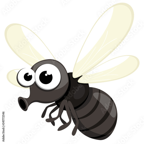 Insect fly flies on a white. Character photo