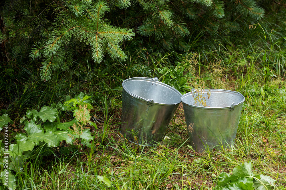 Two empty steel buckets are on the green lawn at the edge of the garden. Two empty steel buckets are on the green lawn at the edge of the garden.