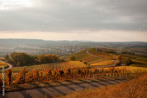 Herbstliche Weinberge in Hohenlohe