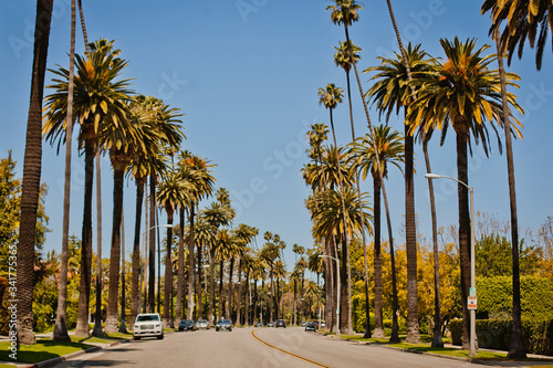 Photos Street with palms in Beverly Hills