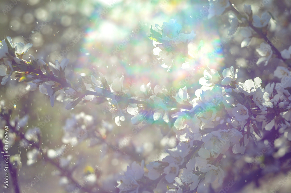 Fototapeta premium abstract background with water drops