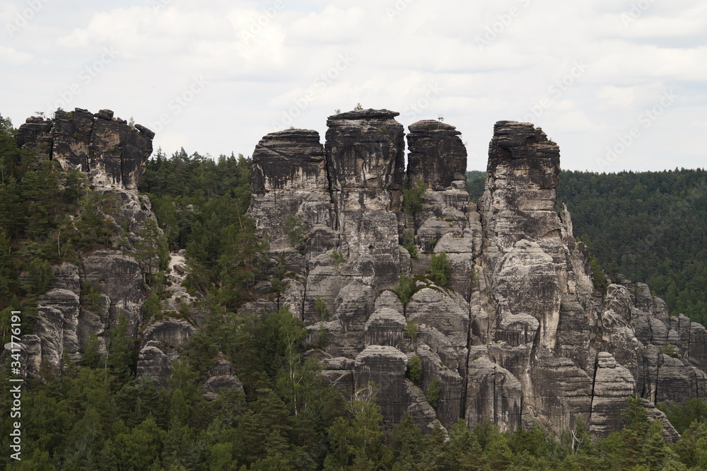 Trees in the Bastei Mountains. Bastei is a sandstone formation with an observation deck in Saxon Switzerland 