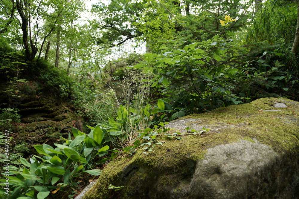 Obraz premium Bastai