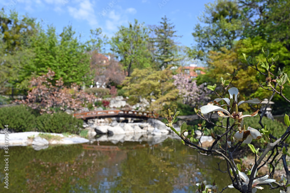 Setagaya Park in spring Vienna Austria