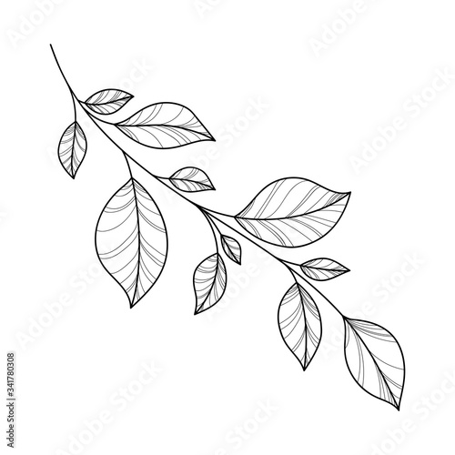 Hand drawing branch for greeting card, invitation, Henna drawing and tattoo template. Vector illustration