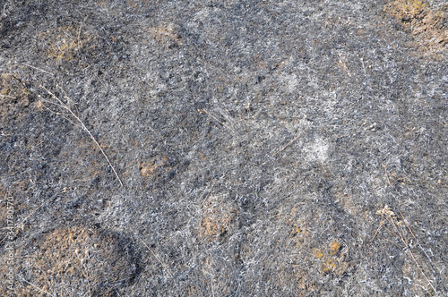 Burnt dry grass in a meadow