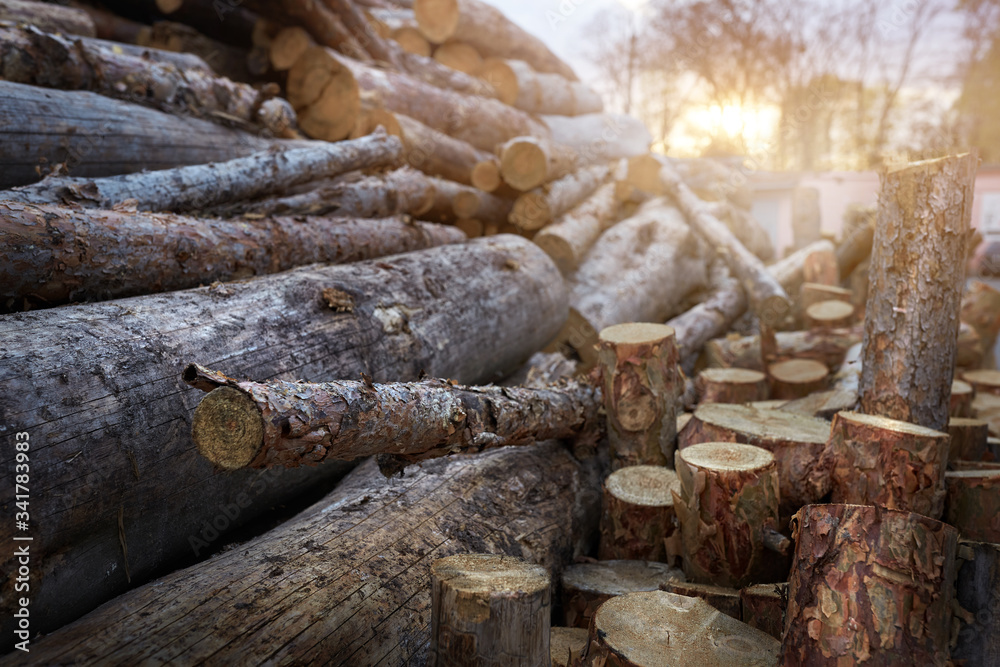 Stacked logs in winter in the fog. Stacked logs in winter in the fog.