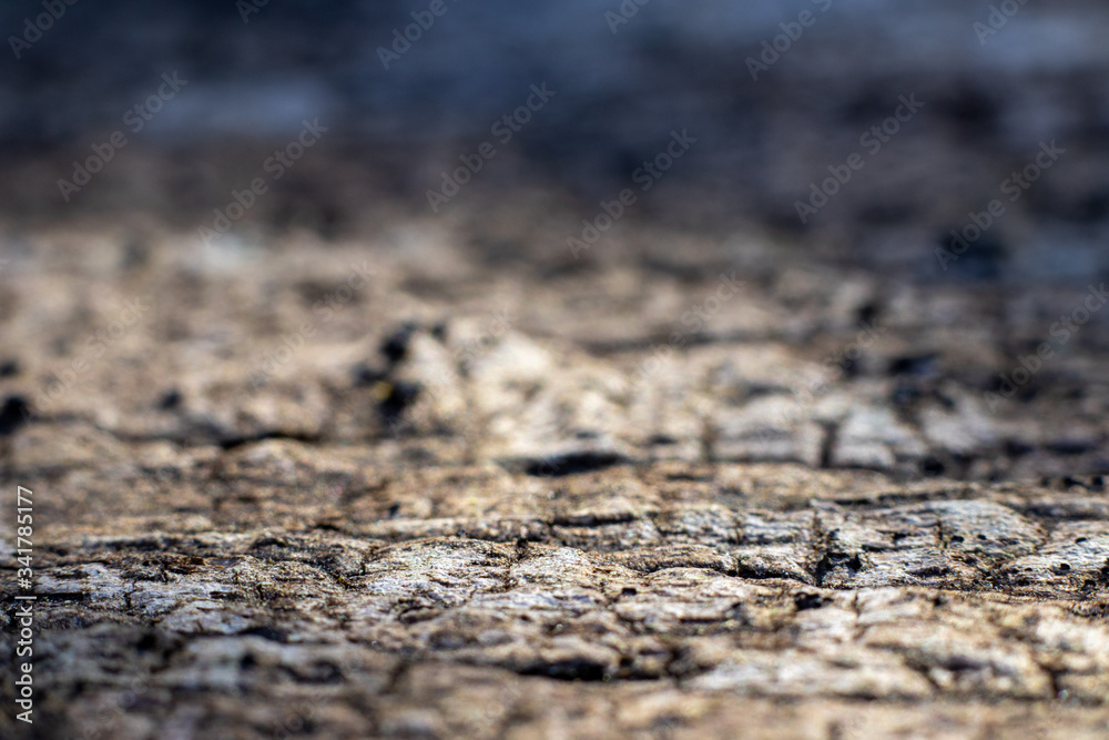 Cracked blue grey dirt background with short focus Cracked blue grey dirt background with short focus