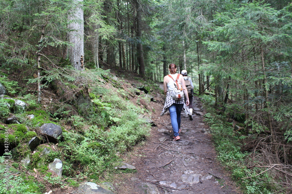 two people walking up to the peak through mountain forest, path, landscape