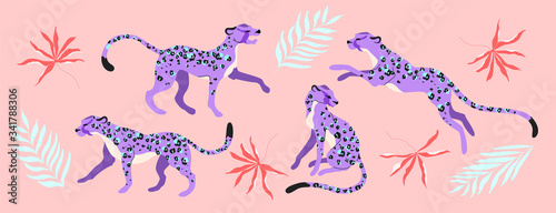 Purple leopard animals and tropical branches.  Hand-drawn modern illustrated set, isolated on pink. Trendy purple wild animals in different poses. Jumping, sitting, and walking wild cats.