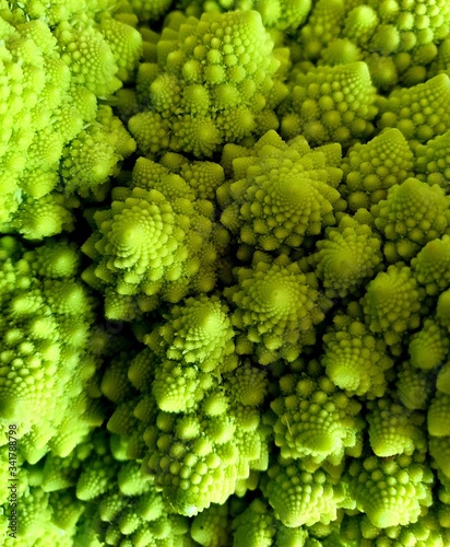 Romanesco cauliflower, natural green color   