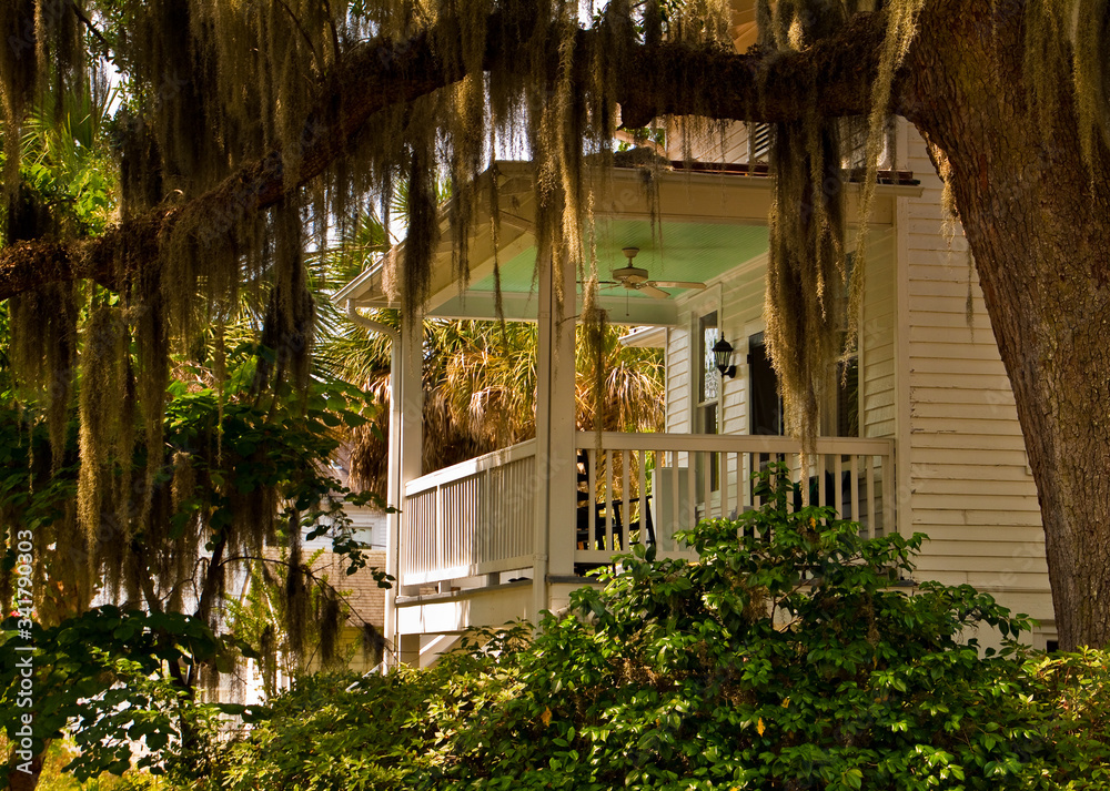 Live Oak Tree Draped With Spanish Moss and Historic Home Near Waterfront Park, Beaufort, South Carolina, USA