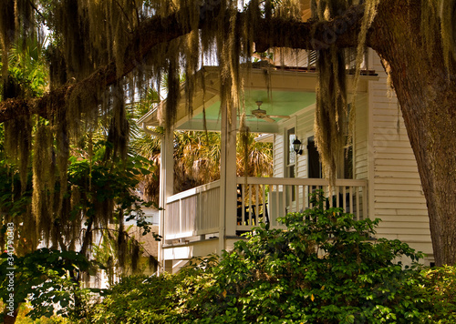 Live Oak Tree Draped With Spanish Moss and Historic Home Near Waterfront Park, Beaufort, South Carolina, USA photo