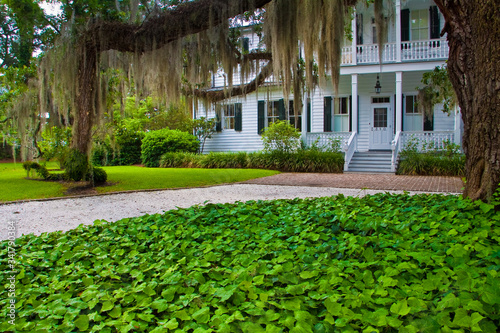 Oak Tree Covered With Spanish Moss and Historic Home Near the Point Historic District, Beaufort, South Carolina, USA photo