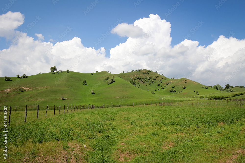 Green fields view near Kyzyl Oktyabr village, Kyrgyzia