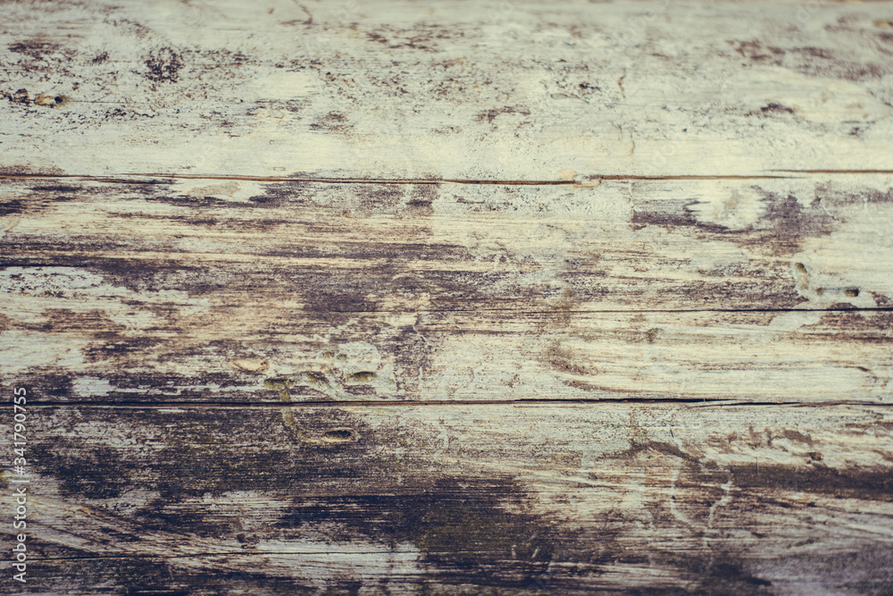 Wood texture. Brown gray background. Coniferous forest. A tree in the forest. Boards. Old tree. Wood texture. Brown gray background. Coniferous forest. A tree in the forest. Boards. Old tree.