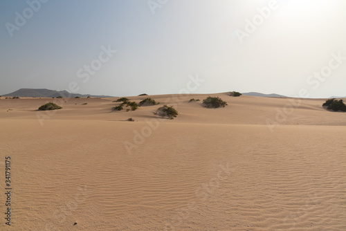 the sand desert dunes