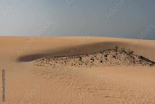 the sand desert dunes