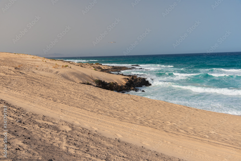 the sand desert dunes the sand desert dunes