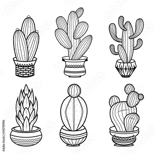 Sketch hand drawn cactus coloring