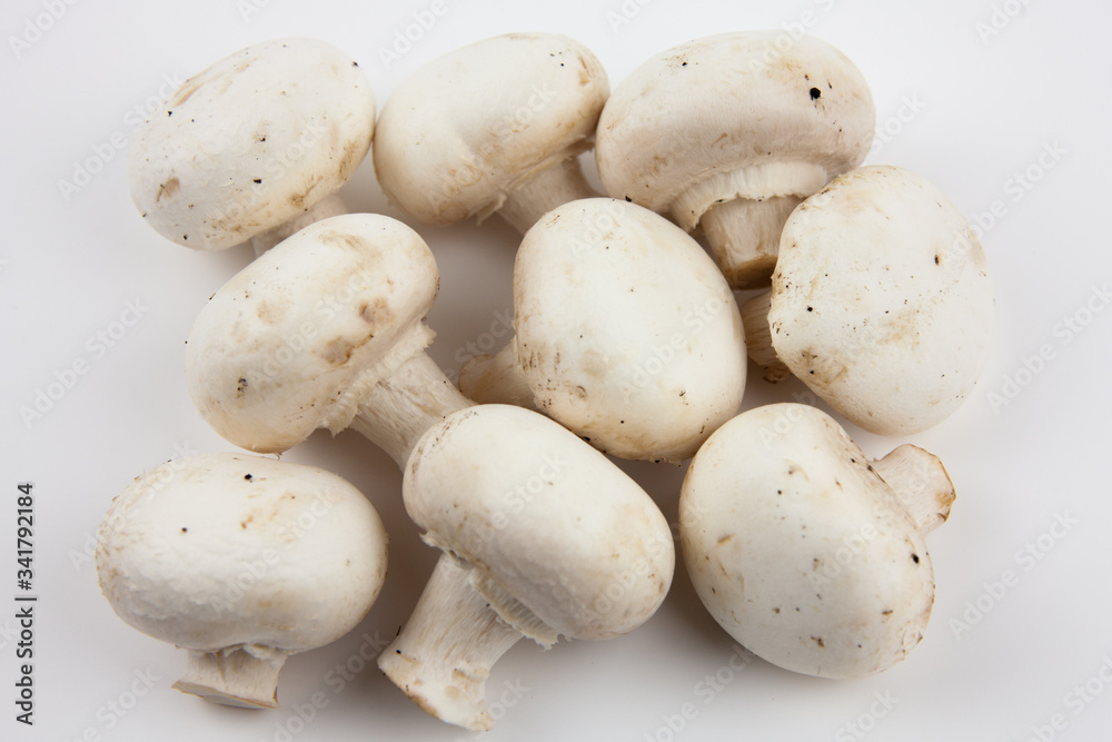 Mushrooms on a white background. Mushrooms for cooking delicious dishes. Mushrooms on a white background. Mushrooms for cooking delicious dishes.