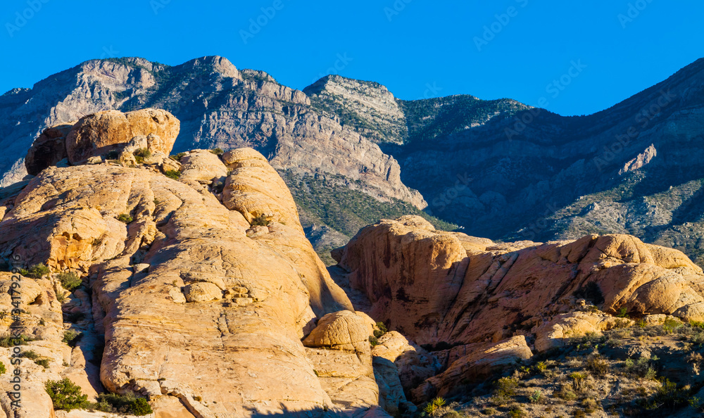 The Sandstone Quarry and Turtle Head Peak, Red Rock National Conservation Area, Las Vegas, Nevada, USA