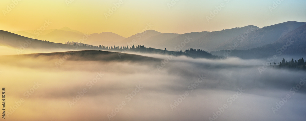 foggy sunrise in the Carpathians. picturesque fog between the slopes of autumn mountains