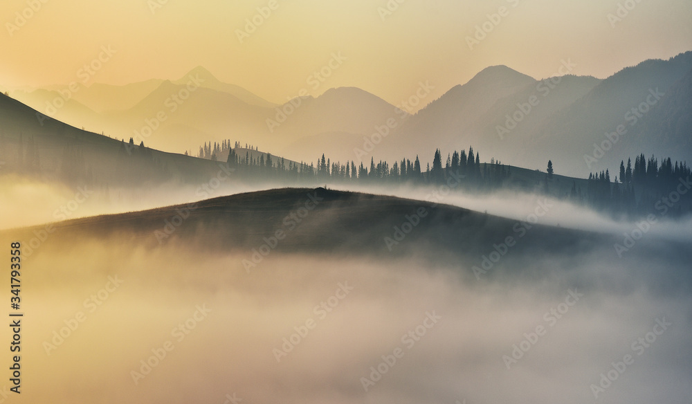 foggy sunrise in the Carpathians. picturesque fog between the slopes of autumn mountains
