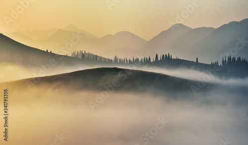 foggy sunrise in the Carpathians. picturesque fog between the slopes of autumn mountains