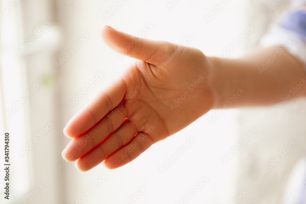 Obraz premium Close up view of caucasian female hand greeting somebody, copyspace. Communication, agreement, contract or meeting. Copyspace for advertising. Businesswoman or student.