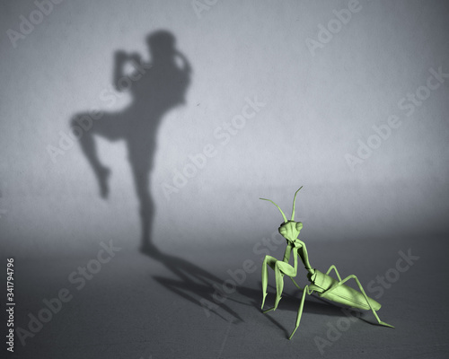 Concept of hidden potential. A paper mantis figure casting a shadow of a Thai boxer. 3D illustration photo