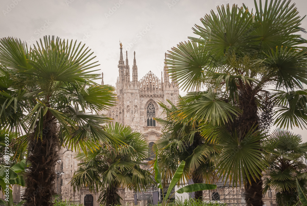 Milan, Italy, June 2019, Milan Cathedral seen among palm trees