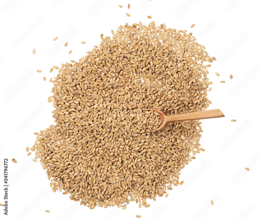 wooden bucket with wheat grains on a white background wooden bucket with wheat grains on a white background