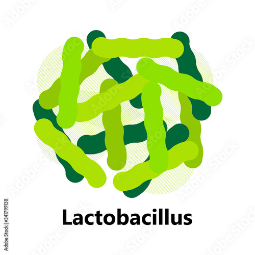 Probiotics bacteria. Lactobacillus, bulgaricus logo with text. Amorphous symbols for milk products are shown such as yogurt, acidophilus. Lactococcus, propionibacterium are shown.