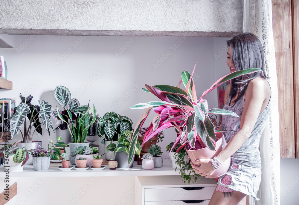 Woman enjoy staying home gardening with indoor house plants