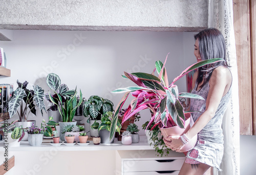 Woman enjoy staying home gardening with indoor house plants photo