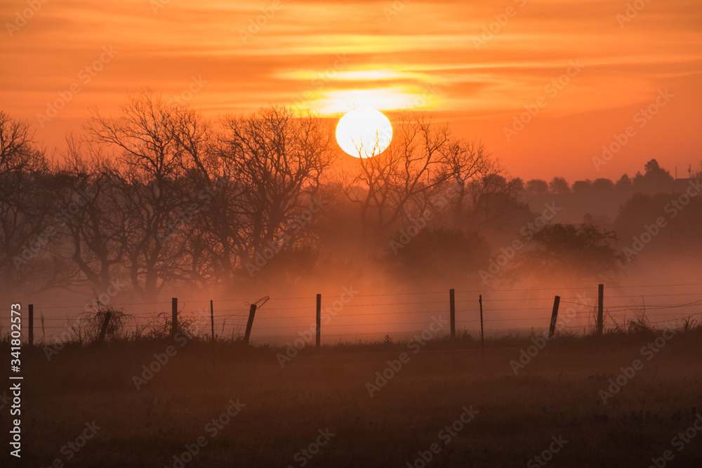 Fototapeta premium Foggy Sunrise in Washington County, Washington, Texas USA