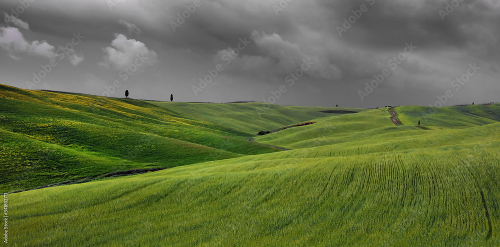 Fototapeta premium Summer stormy landscape of Tuscany, Italy