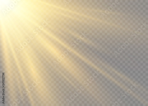 Yellow sun rays.