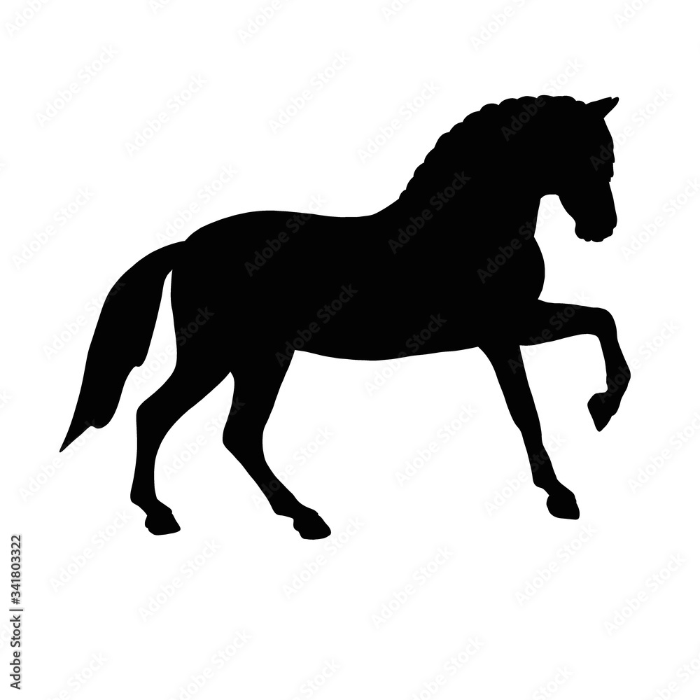 Horse icon. Black silhouette of a farm animal 