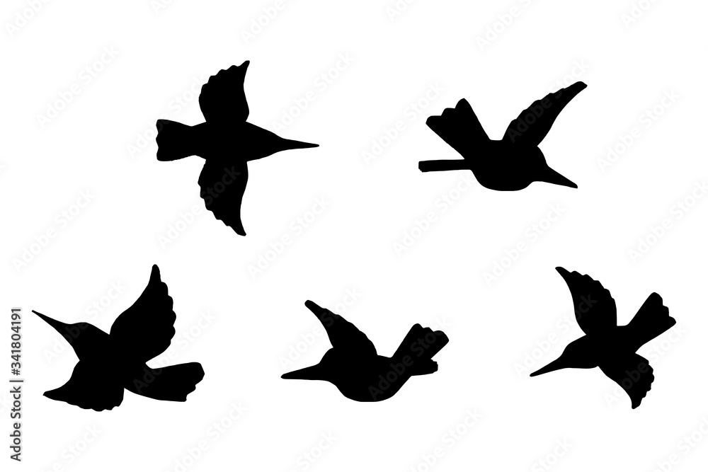 5 black and white set vector bird silhouette isolated on white background 5 black and white set vector bird silhouette isolated on white background