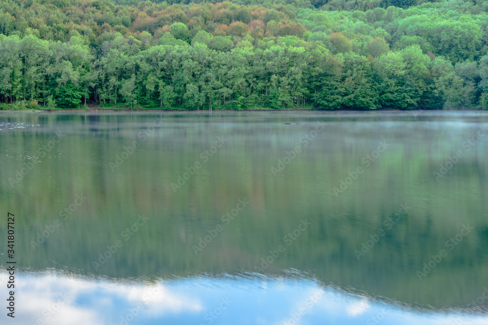 Reflection of forest in the lake (Santa Fe Lake, Montseny Natural Park, Catalonia, Spain)