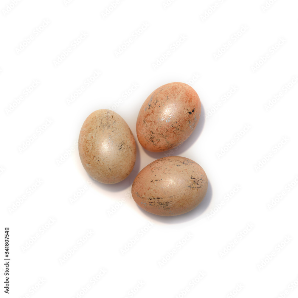 Fototapeta premium Three chicken orange eggs isolated on the white background.